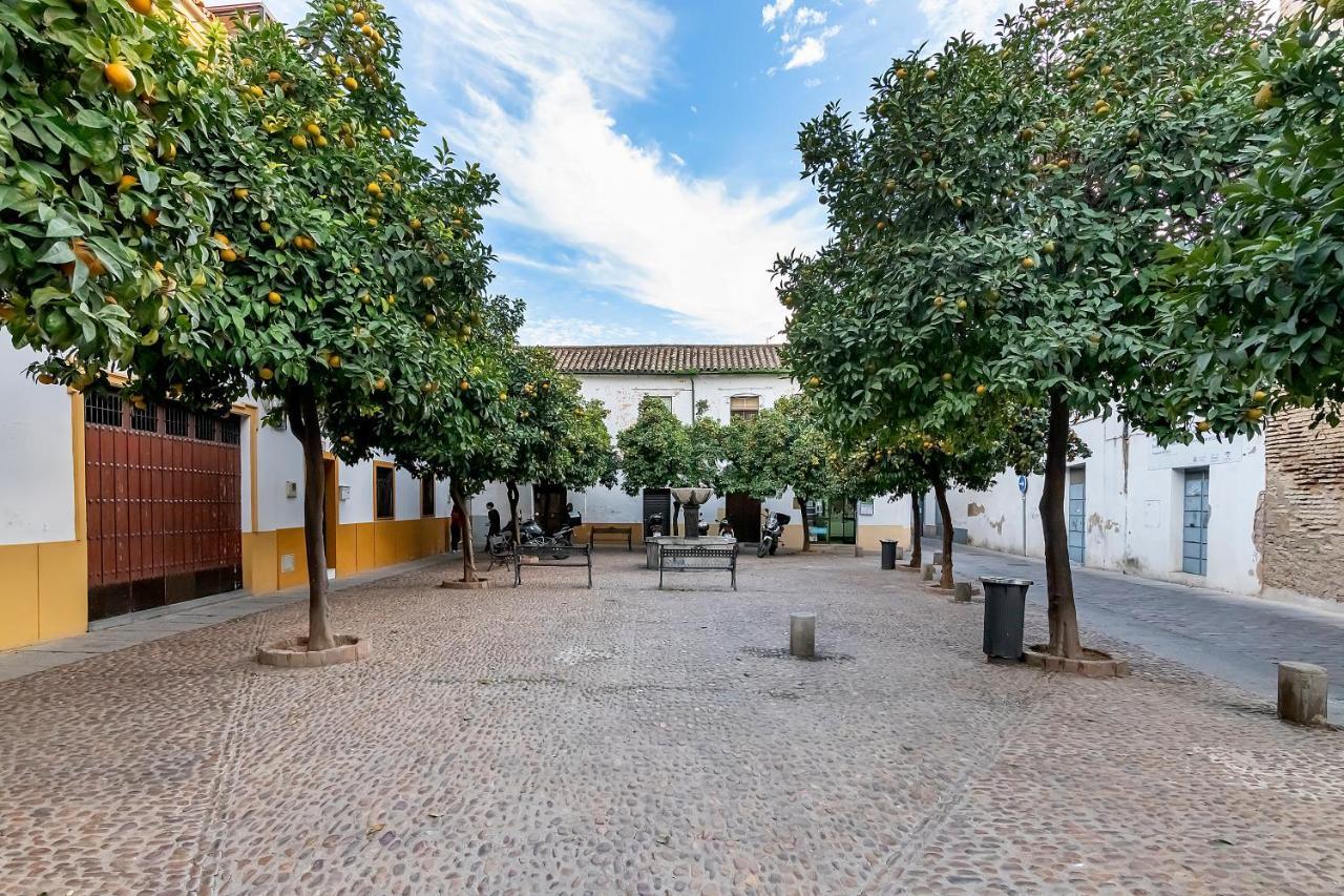Apartmán Bhost - Regina Córdoba Exteriér fotografie